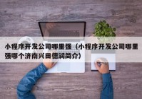 小程序開發(fā)公司哪里強（小程序開發(fā)公司哪里強哪個濟南興田德潤簡介）