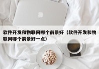 軟件開發(fā)和物聯(lián)網哪個前景好（軟件開發(fā)和物聯(lián)網哪個前景好一點）