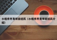 小程序開發(fā)項(xiàng)目經(jīng)歷（小程序開發(fā)項(xiàng)目經(jīng)歷介紹）